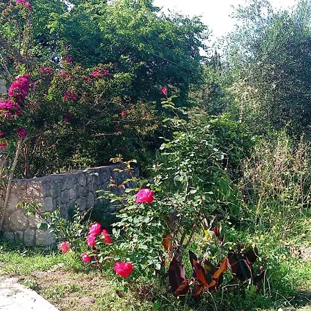 Apartament Teachers' House