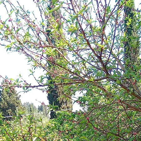 Teachers' House Alykes Potamou